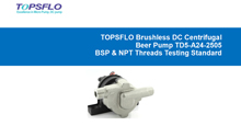 TOPSFLO homebrew beer pump