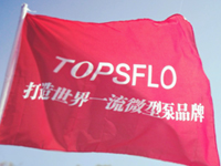 topsflo dc pump Brand