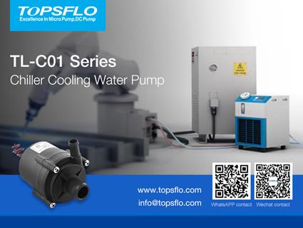 Chiller Water Pump