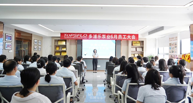 topsflo micro pump Staff Meeting