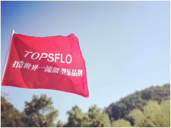 TOPSFLO