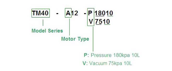 tm40-a-model-code