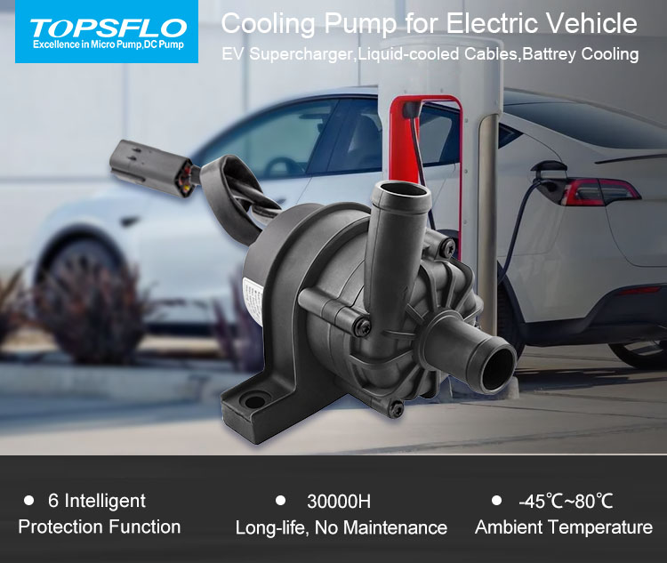 Electric Vehicle Coolant Pump